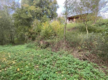 Prodej pozemku, trvalý travní porost, 1 003 m²