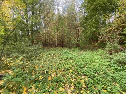 Prodej pozemku, trvalý travní porost, 1 003 m²