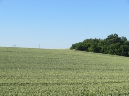 Prodej pozemku, zemědělská půda, 2 415 m²