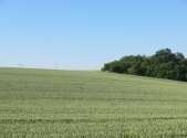 Prodej pozemku, zemědělská půda, 2 415 m²
