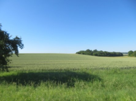 Prodej pozemku, zemědělská půda, 2 415 m²