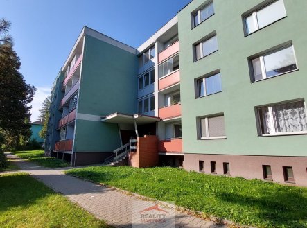 Pronájem bytu, 1+kk, 24 m²