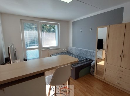 Pronájem bytu, 1+kk, 24 m²