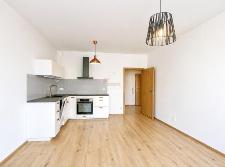 Pronájem bytu, 2+kk, 48 m²