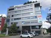 Pronájem - kanceláře, 532 m²