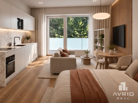 Prodej bytu, 1+kk, 28 m²