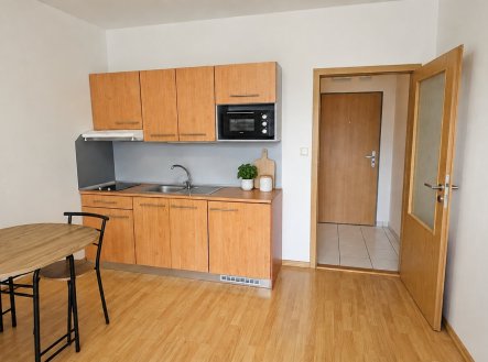 Prodej bytu, 1+kk, 28 m²