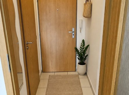Prodej bytu, 1+kk, 28 m²