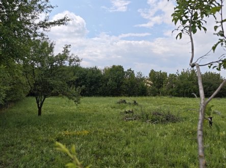 Prodej pozemku pro bydlení, 1 000 m²