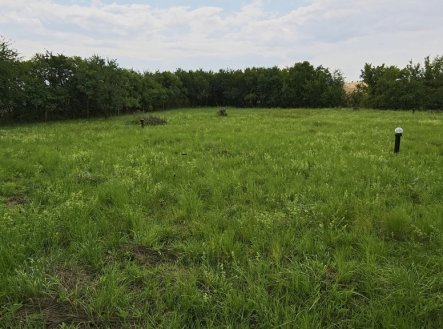 Prodej pozemku pro bydlení, 1 000 m²