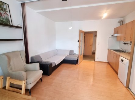 Pronájem bytu, 1+kk, 33 m²