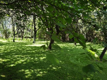 Prodej domu/vily, 105 m²