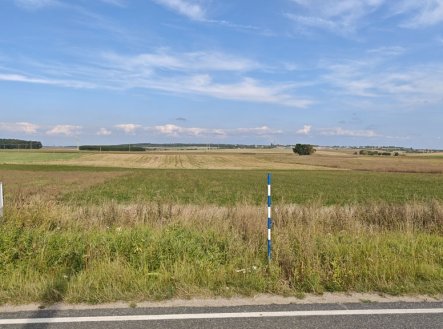 Prodej pozemku pro bydlení, 3 767 m²