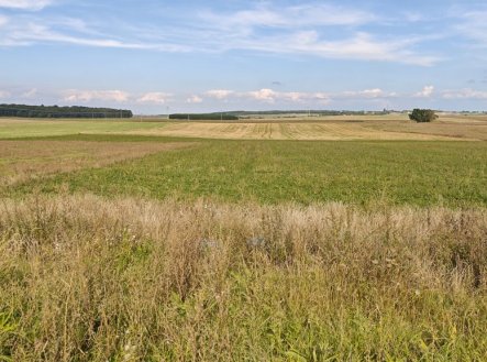 Prodej pozemku pro bydlení, 3 767 m²
