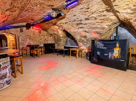 Prodej jiné komerční nemovitosti, 360 m²