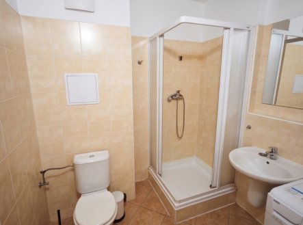 Prodej bytu, 1+kk, 8 699 m²
