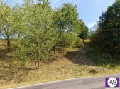 Prodej pozemku, ostatní, 1 229 m²