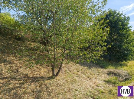 Prodej pozemku, ostatní, 1 229 m²