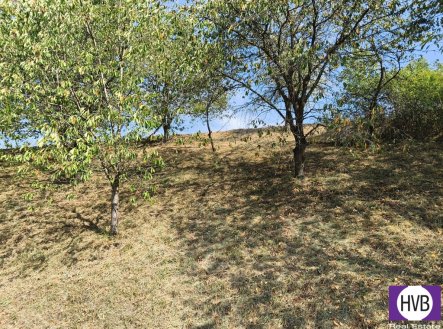 Prodej pozemku, ostatní, 1 229 m²