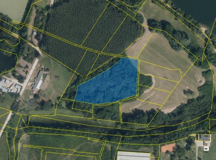 Prodej pozemku, les, 8 844 m²