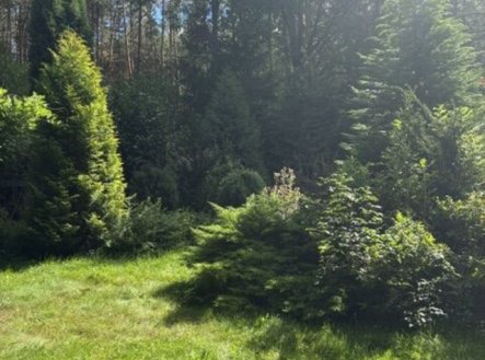 Prodej domu/vily, 50 m²
