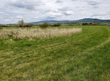 Prodej pozemku, zemědělská půda, 6 487 m²