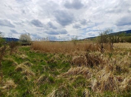 Prodej pozemku, zemědělská půda, 6 487 m²