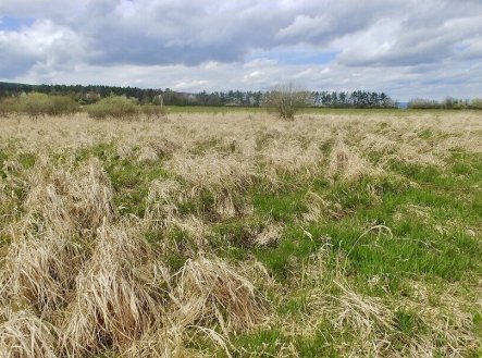 Prodej pozemku, zemědělská půda, 6 487 m²