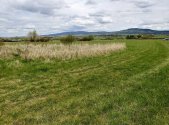Prodej pozemku, zemědělská půda, 6 487 m²
