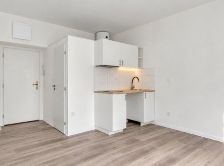 Prodej bytu, 1+kk, 18 m²