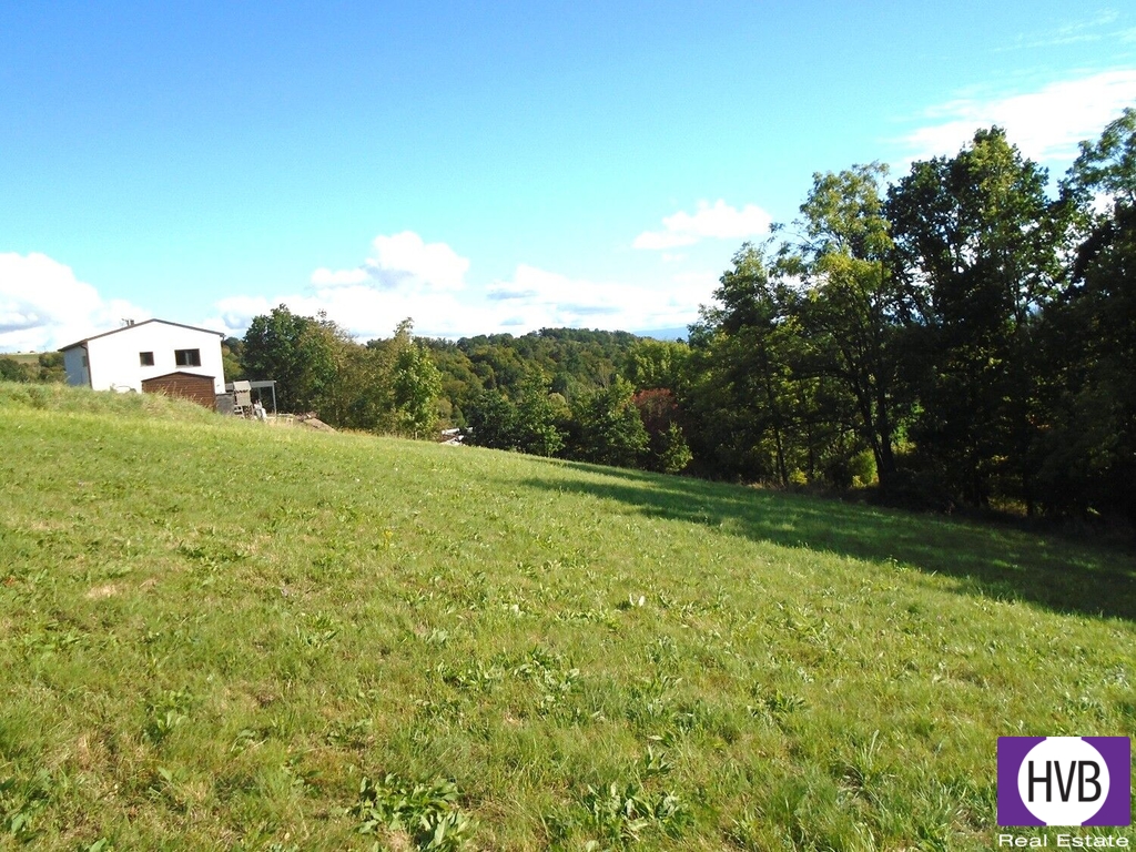 dsc03328.jpg