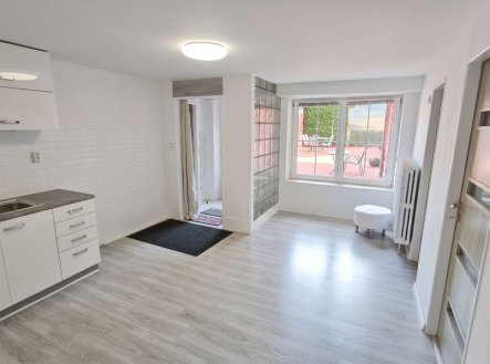 Pronájem bytu, 2+kk, 67 m²
