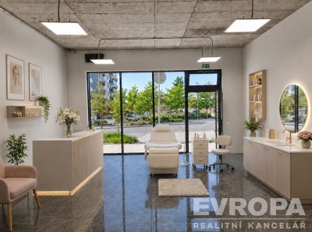 Prodej obchodní prostory, 114 m²