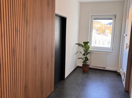 Pronájem obchodní prostory, 19 m²