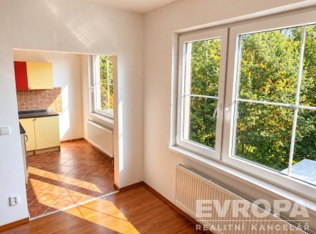 Pronájem bytu, 1+kk, 35 m²