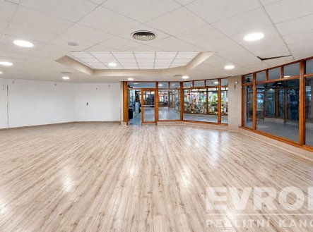 Pronájem obchodní prostory, 132 m²