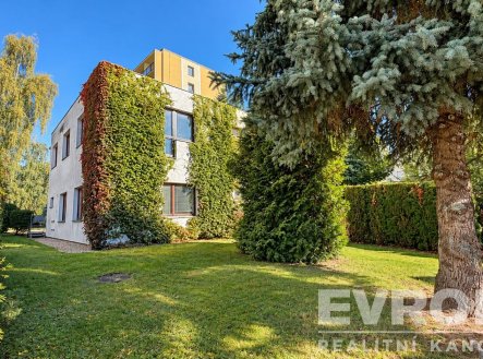 Pronájem bytu, 1+kk, 32 m²