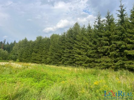 Prodej pozemku, les, 15 237 m²
