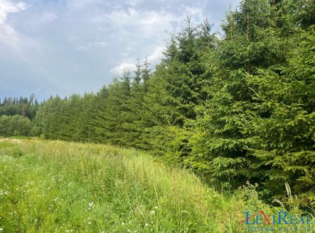Prodej pozemku, les, 15 237 m²