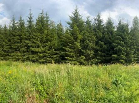 Prodej pozemku, les, 15 237 m² obrázek