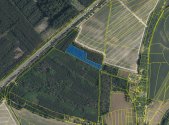Prodej pozemku, les, 2 180 m²