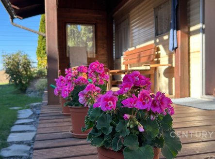 Prodej chaty/rekreačního objektu, 45 m²