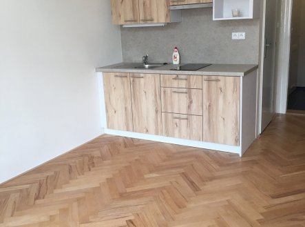 Pronájem bytu, 1+kk, 24 m²