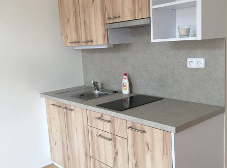 Pronájem bytu, 1+kk, 24 m²