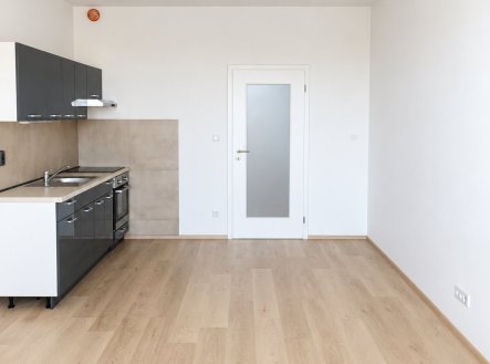 Pronájem bytu, 1+kk, 43 m²