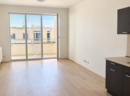 Pronájem bytu, 1+kk, 43 m²