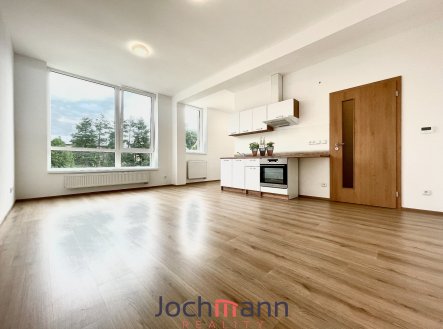 Pronájem bytu, 1+kk, 38 m²