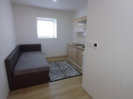 Pronájem bytu, garsoniéra, 24 m²