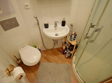 Pronájem bytu, 1+1, 38 m²