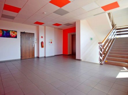 Pronájem kanceláře, 18 m²
